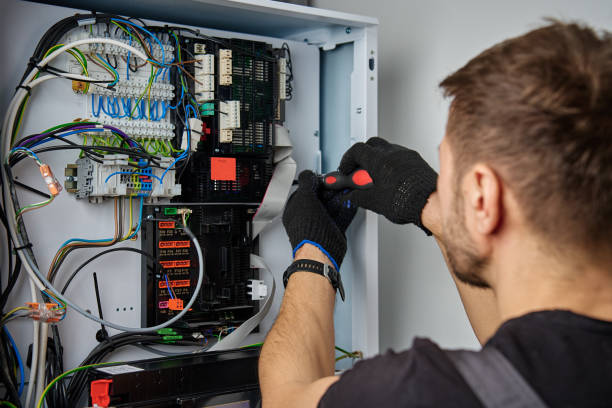 Licensed Electrical Panel Upgrade service in Carrollton, VA - No Joke electrician
